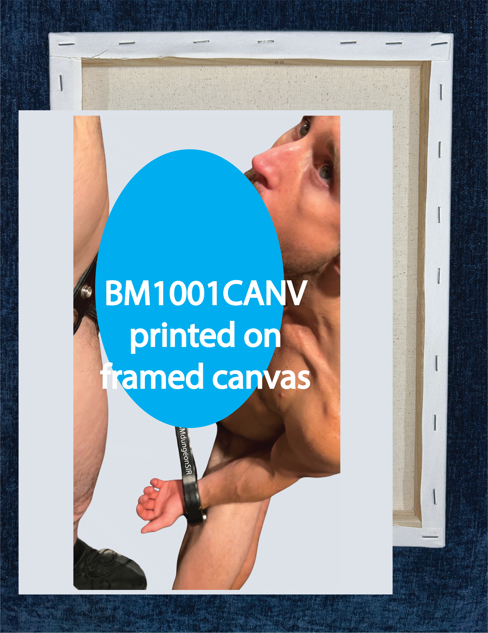 BM1001CANV David Portland bound and servicing BDSMdungeonSIR is a photo digitally printed on framed canvas